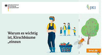 Öffnet externen Link zu youtube