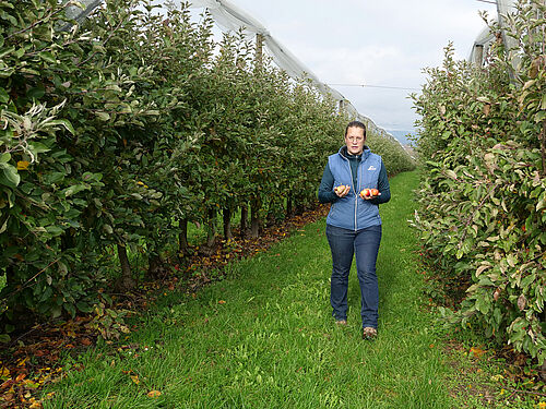 Obsthof Werner (© S. Ketterer/JKI-OW)