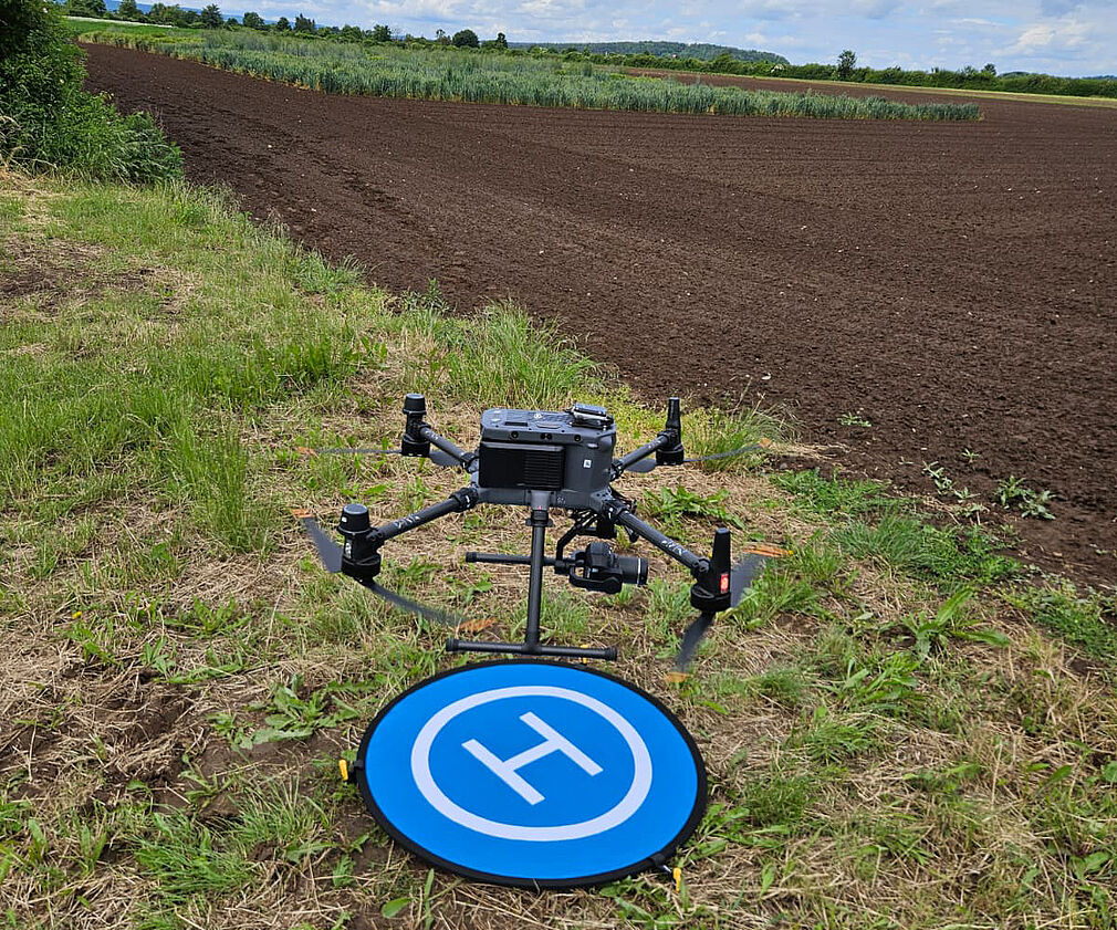 Die Vegetationsentwicklung des Hanfes wird in diesem Projekt mittels UAV-gestützter Sensorik erfasst. JKI-PB, Schönstedt, 2026.