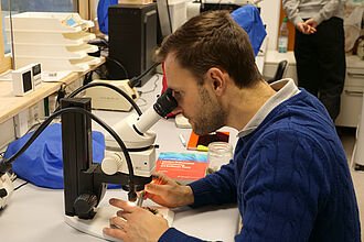 Marco Forster, Projektkoordinator der Region Süd, beim zählen und bestimmen von Insekten einer Probe. (© S. Ketterer/JKI)