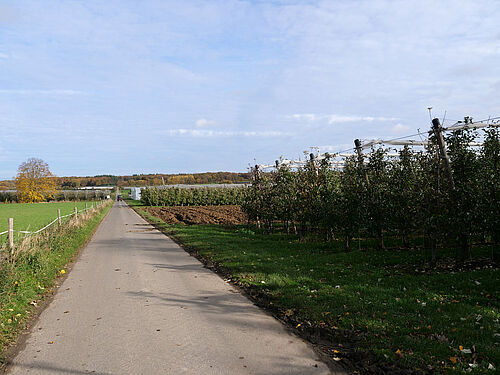 Lindenhof (© S. Ketterer/JKI-OW)