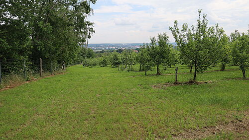 Vorwerk Podemus (© R. Häuser/JKI)