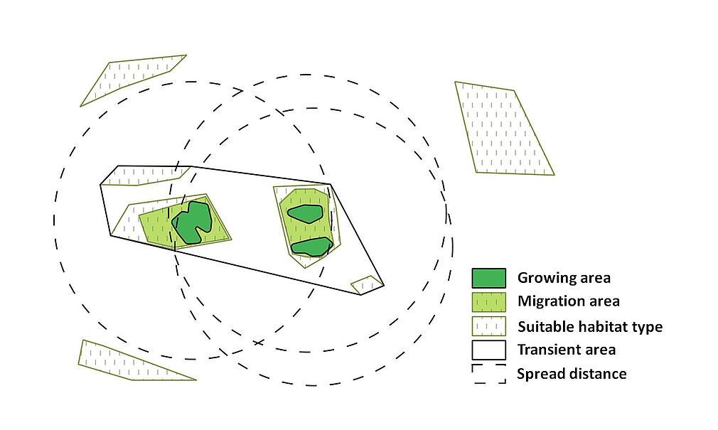 Model of a genetic reserve