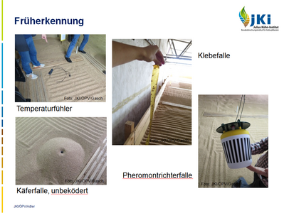 Methoden zur Früherkennung eines
Insektenbefalls
