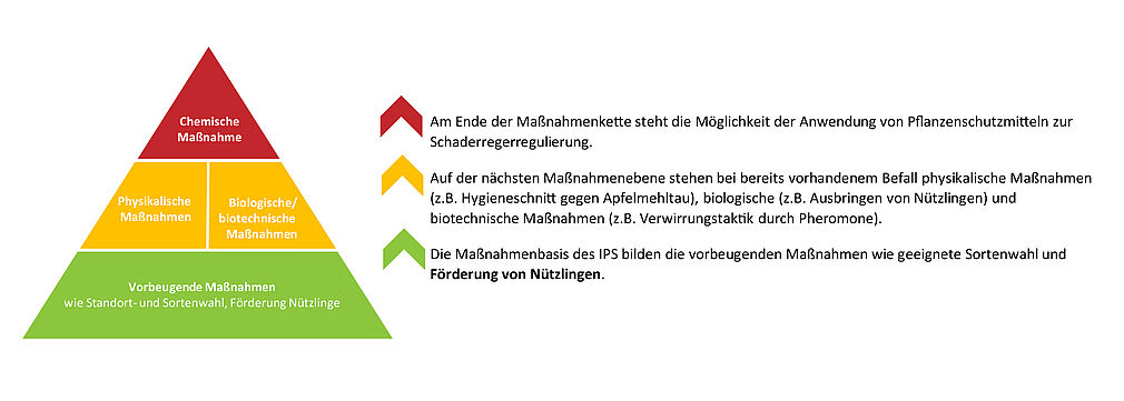 Maßnahmenpyramide des Integrierten Pflanzenschutzes (© R. Häuser/JKI)