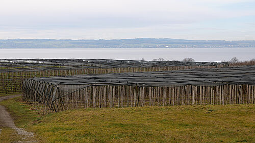 Hof Megerle (© S. Ketterer/JKI)