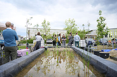 Captions: Schilfgarten am Campus Nord der TU Braunschweig ©Finn Hübbe, TU Braunschweig