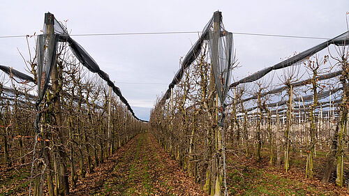 Hof Megerle (© S. Ketterer/JKI)