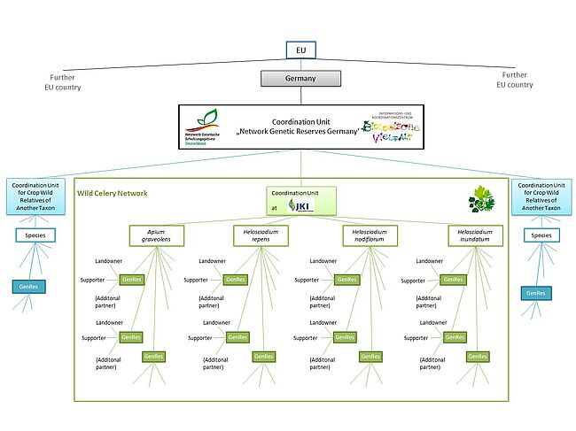 Organisation chart