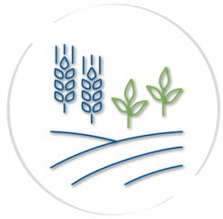 Ressourcenschonende Anbausysteme