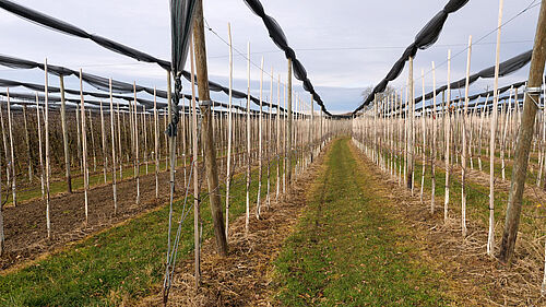 Hof Megerle (© S. Ketterer/JKI)