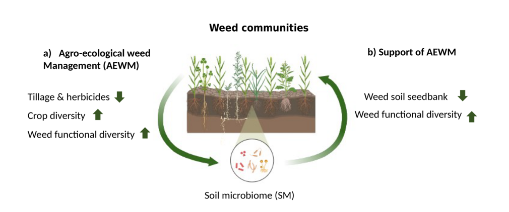 WeedCommunities-SoilMicrobiome WeedCommunities-SoilMicrobiome