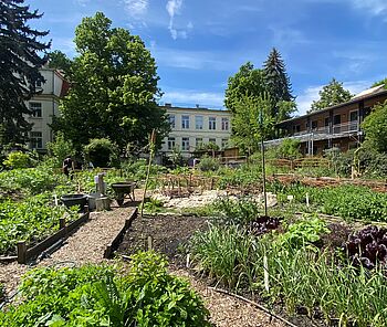 Ludwigsgarten ©Kristin Lazarova, TU Braunschweig Ludwigsgarten ©Kristin Lazarova, TU Braunschweig