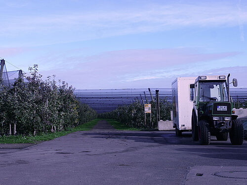 Schmitz-Hübsch (© S. Ketterer/JKI-OW)
