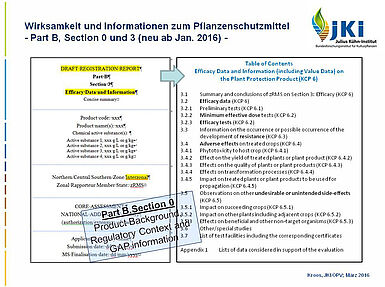 Abb. 4 Draft Registration Report: Part B, Section 3