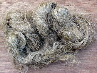 Hanffasern. Foto: Wikipedia