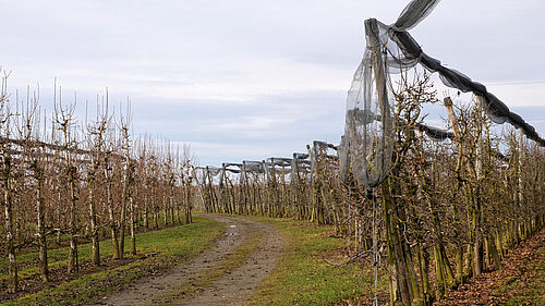 Hof Megerle (© S. Ketterer/JKI)