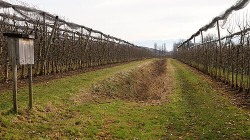 Hof Megerle (© S. Ketterer/JKI)