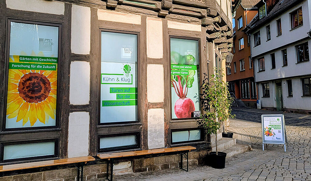 Fensterfront „Kühn & Klug“-Wissensladen am Markt 12 in Quedlinburg.