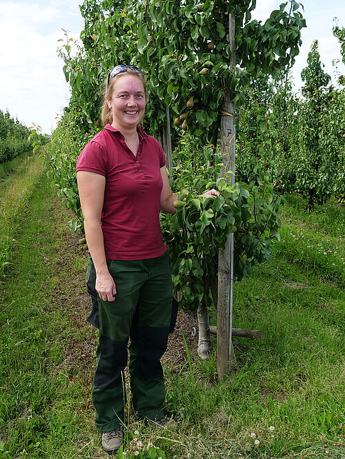 Obsthof Hauschildt's FruchtBar (© S. Ketterer/JKI)