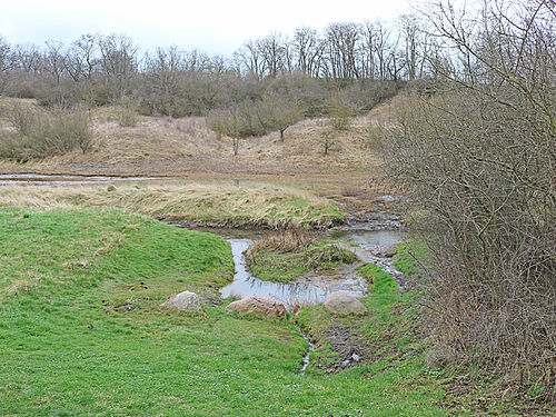 Location of Apium graveolens subsp. graveolens in Saxony-Anhalt,(Photo: M. Bönisch, JKI)