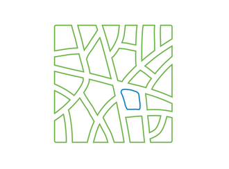 Test area: 600 ha; 70 ha forest