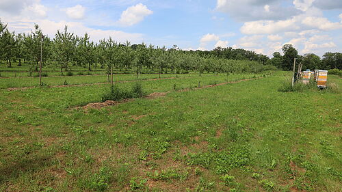 Vorwerk Podemus (© R. Häuser/JKI)