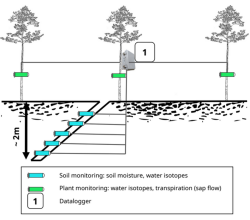 Monitoring-System für ökohydrologische Messungen an Bäumen und Bodenfeuchtigkeitsmessungen im Baumumfeld. © Malkin Gerchow, JKI