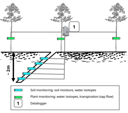 Monitoring system for ecohydrological measurements on trees and soil moisture measurements in the tree environment © Malkin Gerchow, JKI