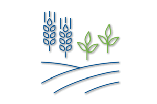 Ressourcenschonende Anbausysteme