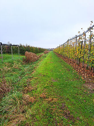 Obsthof Hauschildt's FruchtBar (© S. Bacher/JKI)
