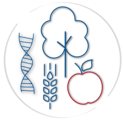 Kulturartenvielfalt, genetische Ressourcen und Biodiversität