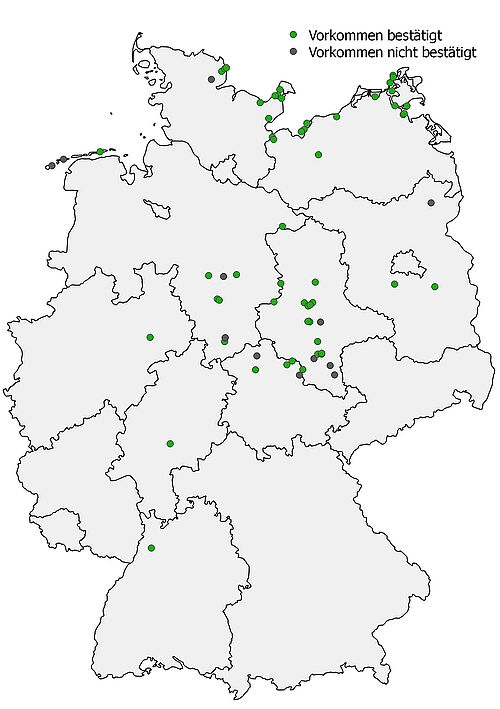 In 2015 confirmed (green) and unconfirmed (blue) occurrences of Apium graveolens subsp. graveolens (Fig.: M. Bönisch, JKI).