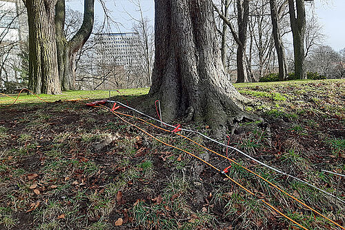 Electrical Resistivity Tomography in urban soil, which allows conclusions about soil moisture © Johannes Hoppenbrock, JKI